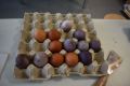 ostern2025-15