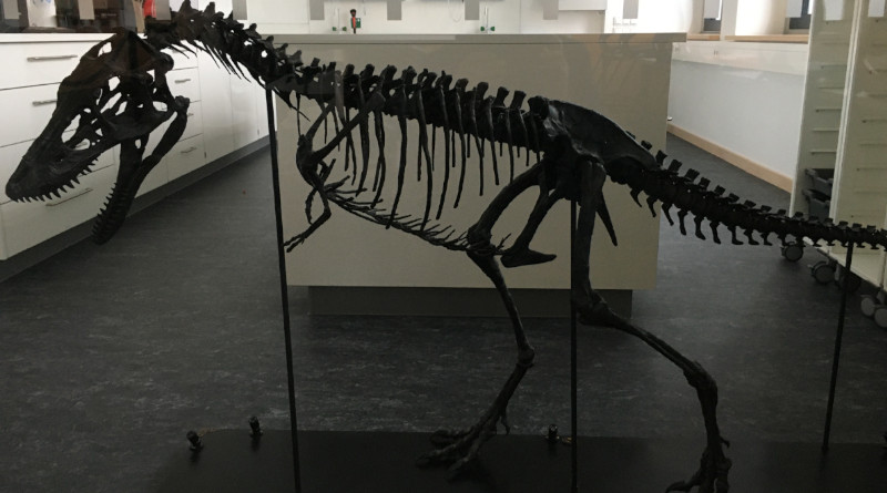 Ein T. Rex wird digital wiederbelebt!